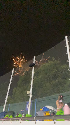 ヤクルトvsベイスターズの記事動画