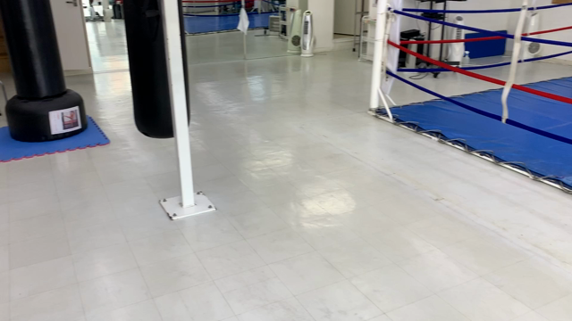 平成最後の大移動の記事動画