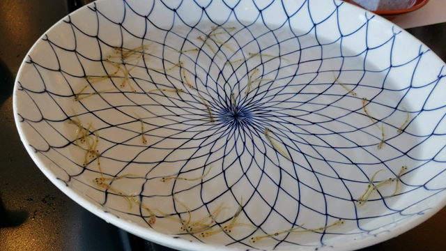 姫たん家の日曜日(*´∀`)♪の記事動画