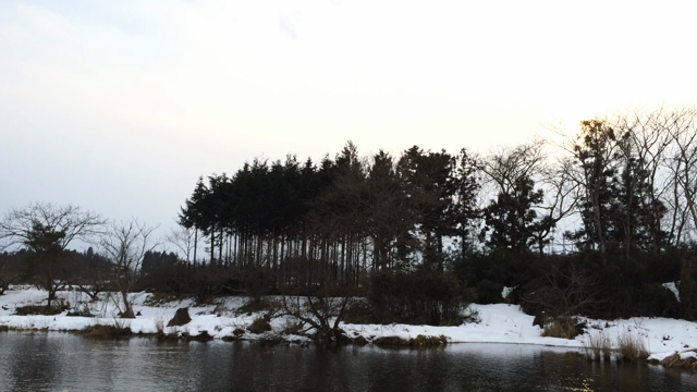 2014年☆の記事動画