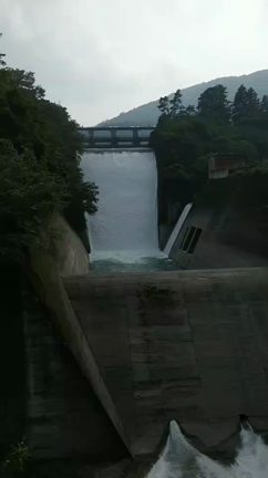 何ヶ月ぶり〜っ(≧▽≦)！？の記事動画