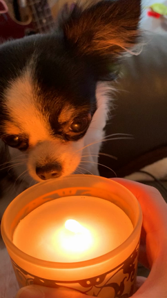 マタハラからのパワハラ。の記事動画