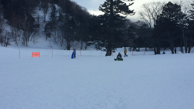 日光の記事動画