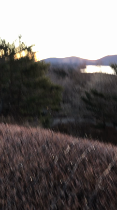 2019年の抱負は〜自然の美しさから♡の記事動画