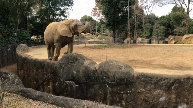 今日はいい風呂の日 だそうですの記事動画