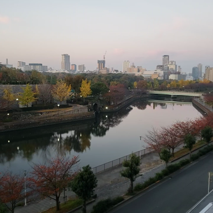 今朝の空@大阪の記事動画