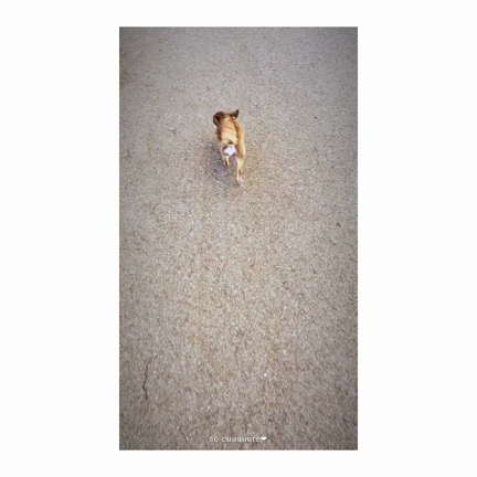 ハゲたん♡の記事動画