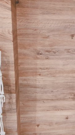 陽気なお友達！の記事動画