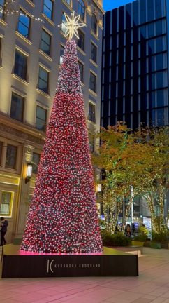 夜景がきれいな季節ですの記事動画