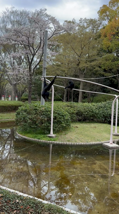 ハシビロコウ観察会の記事動画