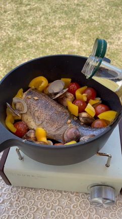 阿武町のキャンプの記事動画