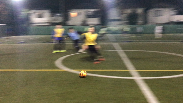 【個サルの様子11.15(水)】の記事動画