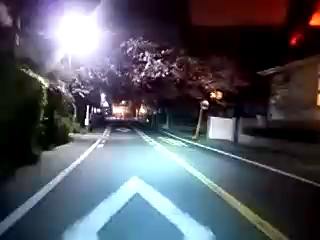 横浜は花満開中の記事動画