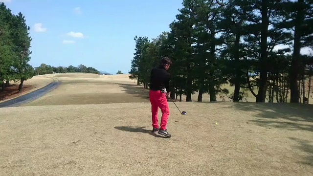 ドライバーの記事動画