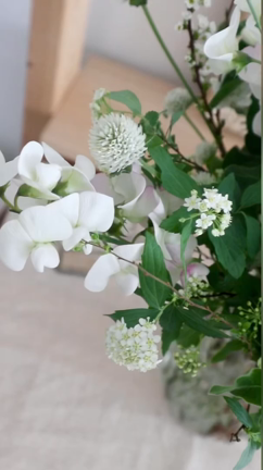 白い花で気持ちのリセットの記事動画