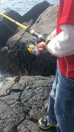 波多岬キャンプ場の記事動画