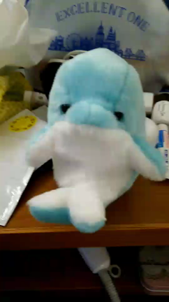 アクアパークと秋の北信州 プチトリップ気分の記事動画