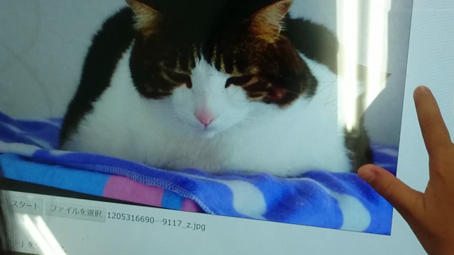 何としてでも朝までに納品したかったワケは…の記事動画