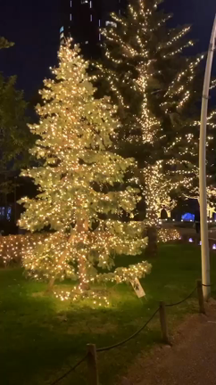 holly nightの記事動画