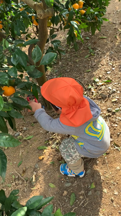生誕3年からの輪活とみかんの記事動画
