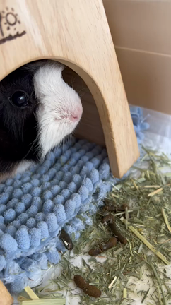 ピンキーわさだブログの記事動画