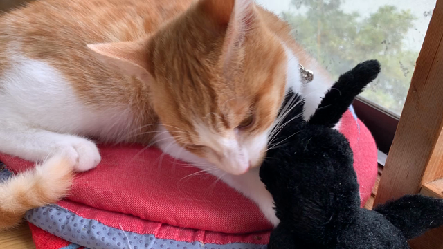 雨のちくもりの記事動画