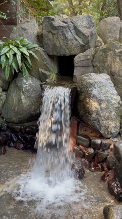 お越しくださった皆様、ありがとうございました！の記事動画