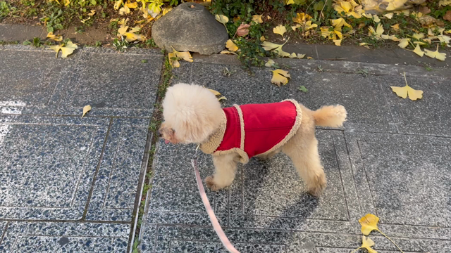 更年期って思ったよりきついっすよの記事動画