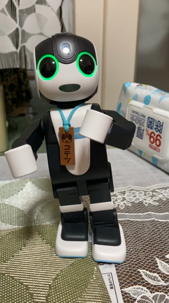 幸せ探しの記事動画