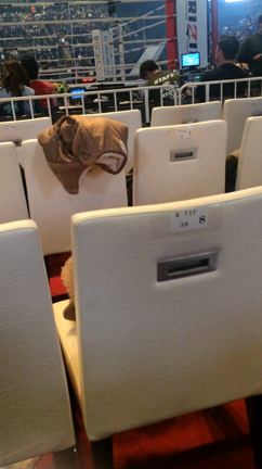 RIZINで！！！！の記事動画