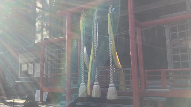 2023/12/12 まさよさんワークとなにかと。の記事動画