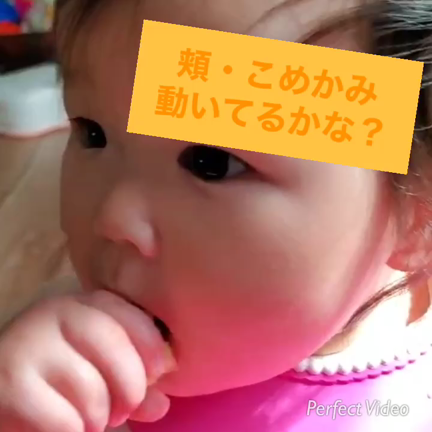 ■噛めているかのポイントはココ！！の記事動画
