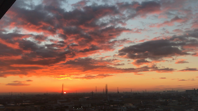 元旦の記事動画