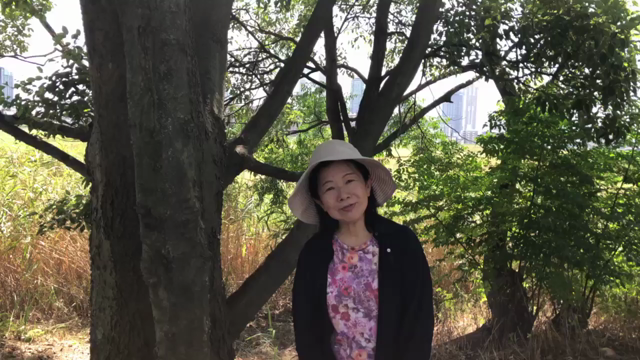 撮影しちゃいました❣️アーバンマルシェのPR動画の記事動画