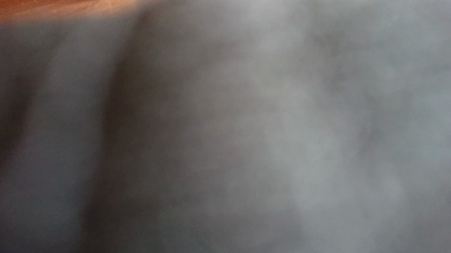 何だか ヤバいの記事動画