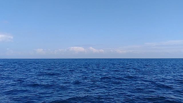相模湾サワラハンティング２０２３～あっきーさんの華麗なる相模湾デビュー戦！～の記事動画