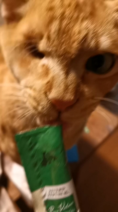 映画のロケで早起きに＆やっちまったの記事動画