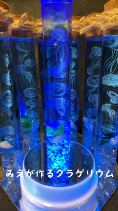 みえが作るクラゲリウムの記事動画
