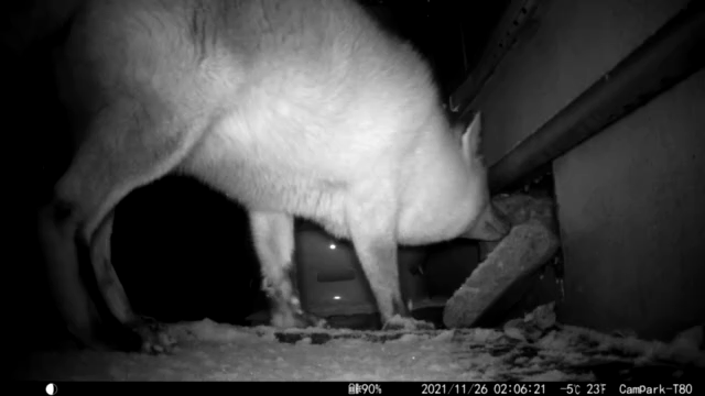 不審者の記事動画