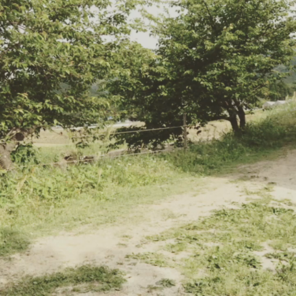 あてのない旅の記事動画