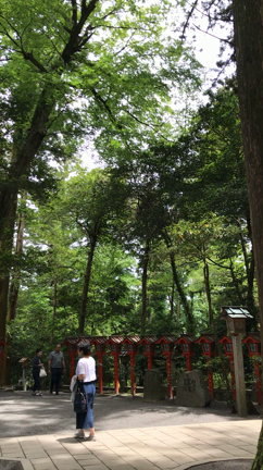 お礼参りの記事動画