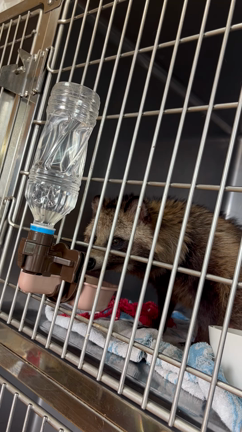 【欲しいものリスト】大切に使用させていただきます！の記事動画