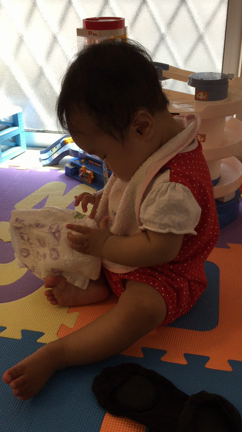 ＊おしゃべりさん＊の記事動画