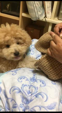 お邪魔虫〜〜の記事動画