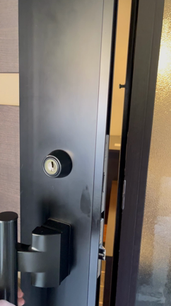 武田尾温泉 紅葉館   別庭あざれ 1の記事動画