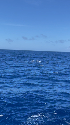 ◇6月29日 キハダキャスト◇の記事動画