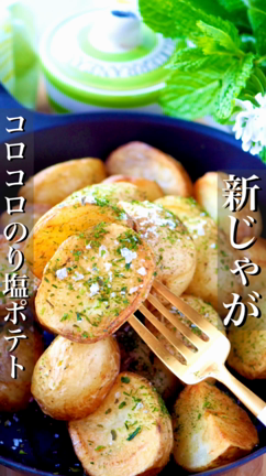 売れ筋がひクリスマスプレゼント！ BzeTs5SMPif3Wn7jt1FOmEpp- 野菜