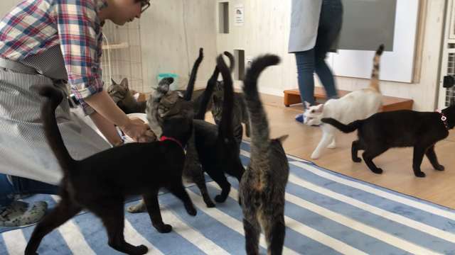 久しぶりにの記事動画