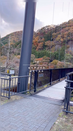 昨日の鬼怒川温泉の風景です(*´ `*)の記事動画