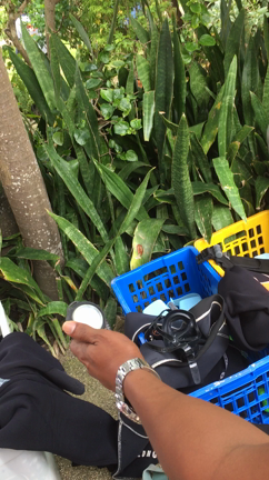 セブ島紀行８の記事動画